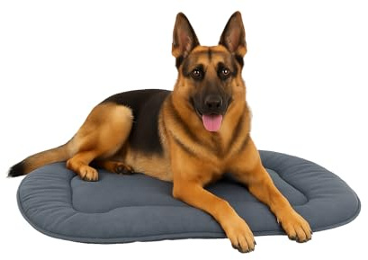 Flamingo Hundekissen Firenze – Dünnes Ovales Kissen, Blau, 97x61x3 cm, Luxuriös & Bequem – Ideal für Labrador Retriever, Dalmatiner, Australian Shepherd usw.