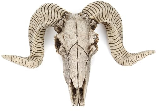 JOUFNING Skull Sheep Head Wall Sculpture, Resin Ram Decorations, Ram Decor Animal Skeleton Sculpture Hanging Art Collectible, About 26.5 * 6 * 17.5cm/ 10 * 2.36 * 6.89inch