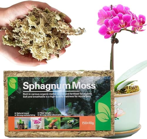 Sphagnum Moos für Bonsai Pflanzen Orchideen Terrarium, Orchideensubstrat Phalaenopsis Organischer Dünger, Blumenerde Zimmerpflanzen Feuchtigkeitsspendende Torfmoos, Wassermoos Trockenmoos (3PCS)