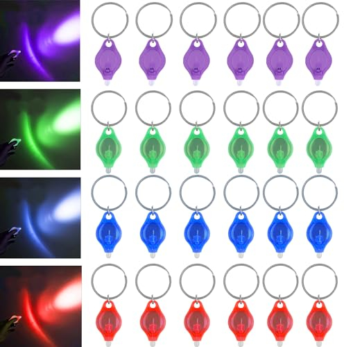 MODOAO Mini-LED-Schlüsselanhänger-Taschenlampe, tragbar, ultrahell, batteriebetrieben, mit Schlüsselring, für Outdoor-Camping, Wandern und Notbeleuchtung, mehrfarbiges Gehäuse, 24 Stück