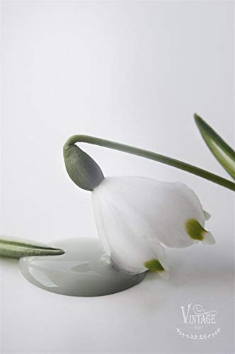 Jeanne d´Arc living Jeanne d'Arc Living Vintage Paint Peinture à la craie Dusty Green Eco Label à base d'eau et écologique 700 ml Peinture à la craie JDL