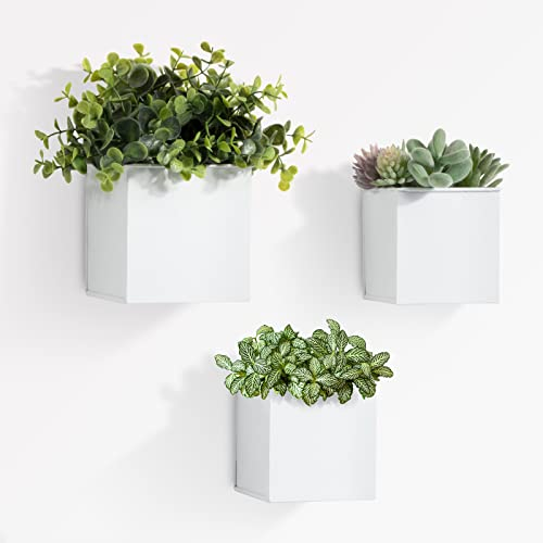 BOFUNX 3pcs Fioriere da Parete Vasi di Fiori da Parete Vasi da Appendere a Parete Vaso Sospeso in Metallo per Muro Casa Decorazione