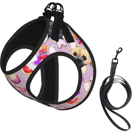 Verstellbares Geschirr mit französischer Bulldogge für Katzen und Hunde, weich, atmungsaktiv, für Kätzchen, Welpen, Netzweste mit reflektierendem Design, ausbruchsichere Leine für kleine Haustiere