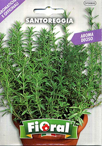 Semillas de plantas aromáticas y oficinales, en bolsita, para uso amateur