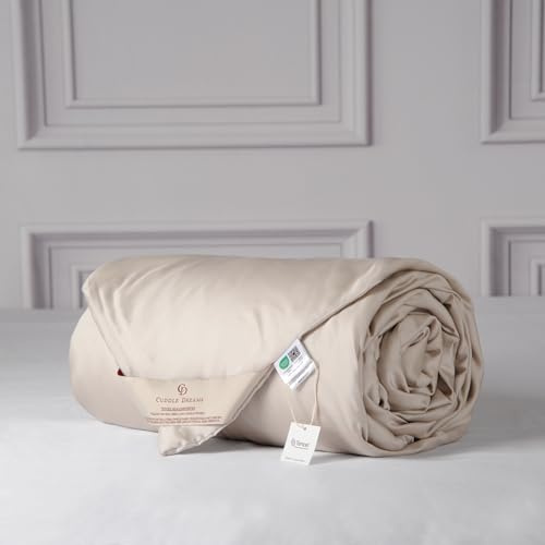 CUDDLE DREAMS Lightweight Silk Filled Comforter for Summer, Detachable Tencel Duvet Cover for Easy Care, Naturally Breathable (Light Pewter, Twin)