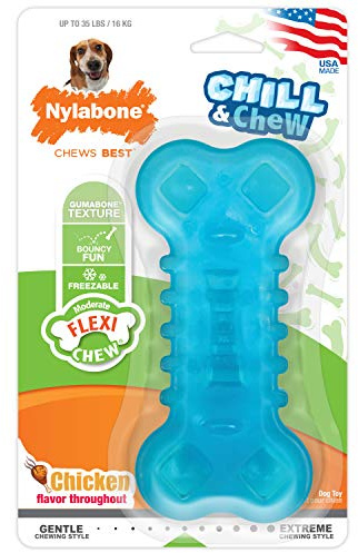 Nylabone Dog Moderate Chill & Chew Toy Chicken Medium/Wolf (1 Count) for small dogs