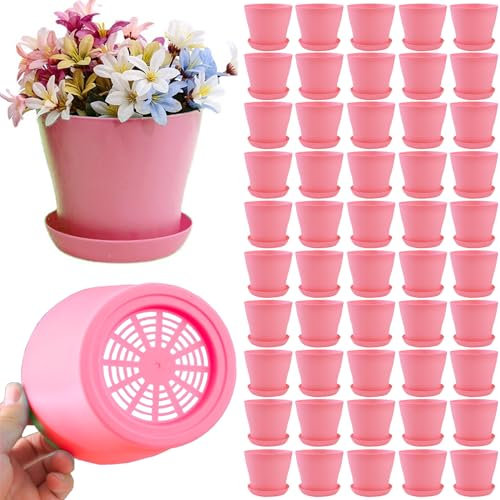 Confezione da 50 vasi per piante grasse, cactus, erbe, viola africano, piccoli, in plastica, con fori di drenaggio, per piante grasse, cactus, erbe, viola africano (50 pezzi, rosa, 10 cm)