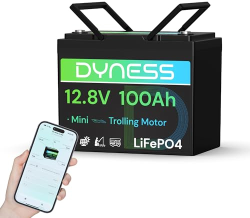 Dyness LiFePO4 12V 100Ah Lithium Batterie Bluetooth Mini mit 100A BMS, Max.15000 Zyklen, 12V Deep Cycle Lithium Eisenphosphat Batterie für Wohnmobile und netzunabhängige Anwendungen