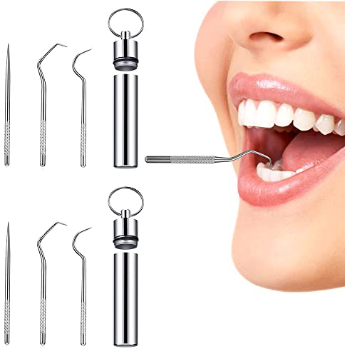 Edelstahl Zahnstocher set mit Halter Schlüsselbund Tragbar Umweltfreundlich Metall Mundreinigung Set MetallTaschenzahnstocher für Outdoor Picknick Wandern Camping