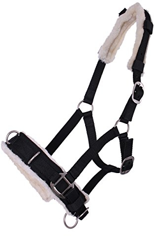 ARBO-INOX Kappzaum Halfter Nylonhalfter Longierhalfter QHP 4 Farben und 4 Grössen Größe Full Warmblut