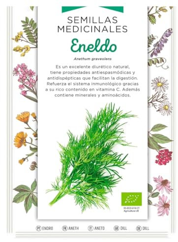 Semillas Medicinales - Eneldo - Semillas listas para plantar.