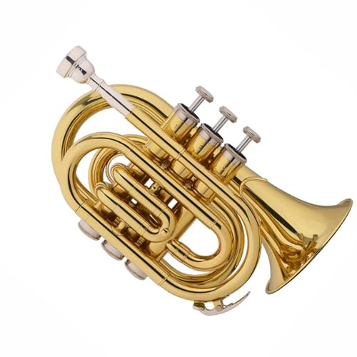 B-Instrument Anfänger Lack Gold Blasinstrument Messing Edelstahl Instrument Ton