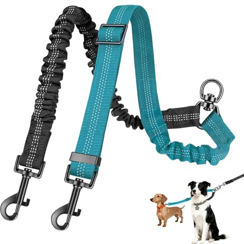 Laisse Double pour 2 Chiens, Laisse Double Chien, Do uble Lais se pour 2 Chiens, sans enchevêtrement, 360° rotative, réfléchissante, d'entraînement, Dou ble pour Petits, Moyens et Grands Chi ENS