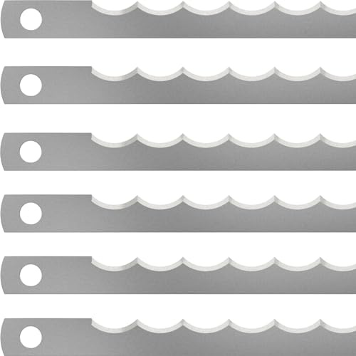 LEHRMANN Coltelli per affettare il pane (50 pz.) 315 x 13 x 0,5 mm con foro senza rivestimento