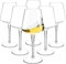 HAHASHOW Tritan-Plastica Bicchiere da Vino Bianco, Set di 6 Divino Calice vino rosso per campeggio festa, Adatto alla Lavastoviglie, 445ml