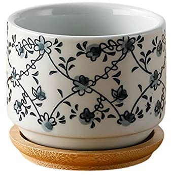 Pot De Fleurs avec Plateau en Bambou, en Céramique De Style Japonais, Mini Pot Succulent en Ciment, Plante Bonsaï, Jardinière pour La Maison, Décor De Jardin (Color : D)