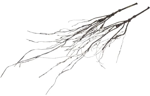 Botanic-Haus künstlicher Weidenzweig/künstlicher Deko-AST Farbe: braun (2 Stück)