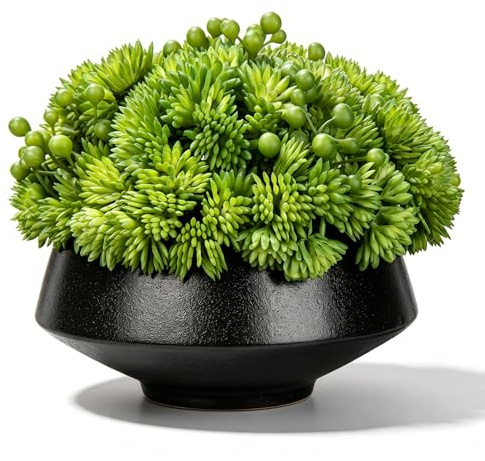 Hollyone 12CM Artificial Succulent Plants in Ceramic Pot, Small Fake Succulents for Home Decor, Decorative Faux Plant Indoor for Living Room, Shelf, Kitchen Table, Office, Bedroom, Bathroom Decoration