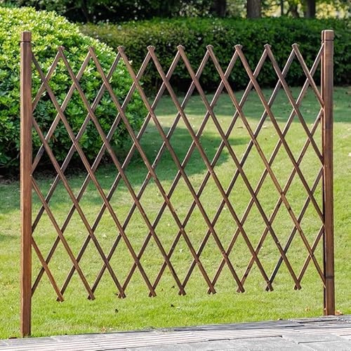 Clôture Extensible En Bois Massif For L'extérieur, Panneaux De Treillis De Jardin Autoportants Et Extensibles, Treillis Décoratif For Plantes Grimpantes(70x160cm)