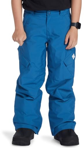 DC Shoes Banshee - Pantalon de Snow Technique - Garçon Enfant 8-16 Ans - 16/XL - Bleu