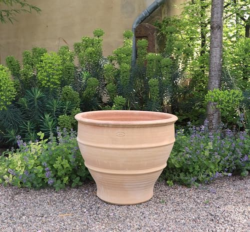 Palatina-Keramik | großer breiter Pflanzkübel Übertopf aus Terrakotta | 60 cm | winterharter Blumenkübel Außen Garten Buxus