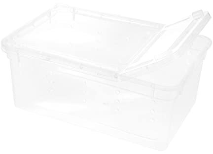 POPETPOP Reptilienzuchtbox Kunststoff Transparent Mit Belüftung Für Spinnen Eidechsen Frösche Und Kleine Reptilien Futter Und Aufbewahrungsbox