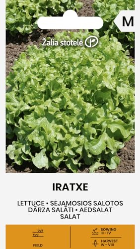Zalia stotele | Laitue - IRATXE Graines de légumes | Laitue Batavia | Variété mi-précoce | Feuilles vert clair, croquantes et ondulées | Pour plein air et pré-culture | Graines de laitue | 1 sachet