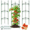 Lot de 3 tuteurs pour tomates, plantes grimpantes, 120 cm, support pour tomates, concombres, plantes de jardin