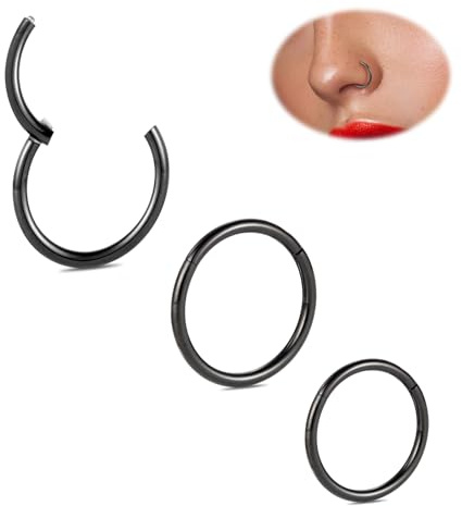 Titan Nasenring 16G Conch Piercing Schmuck 3 PCS Ohrläppchen Reifen Ohrring Schwarz Septum Ring Scharnier Segment Nahtlos Klickerring Helix Piercings Tragus Knorpel Lippen Ohrringe 10 mm 11 mm 12 mm