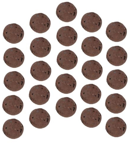 BESPORTBLE 1sacchetto Rocce Di Argilla Naturali Piccole Per Succulente Rocce Per Piante Decorative Terriccio Per Cactus e Piante Da Interno Pietre Succulente Per Fioriere