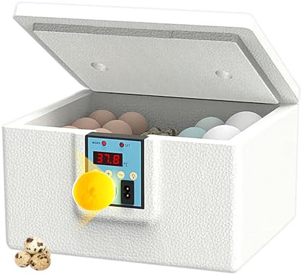 Croovepi Brutkästen für Bruteier, intelligenter Eierbrutkasten – Tragbarer Geflügelbrutautomat mit Digitalanzeige, temperaturgesteuerter Stallschlüpfer für Hinterhofzucht