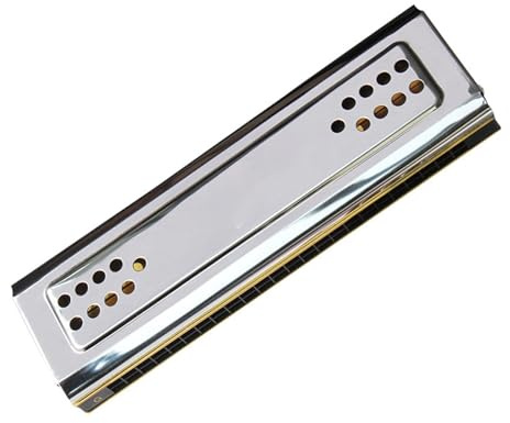 Diatonische Mundharmonikas Doppelseitige polyphone Mundharmonika für Anfänger