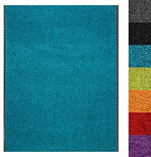Dirt Trapper Washable Entrance Mat, Absorbent Door Mat for Indoor and Outdoor, Dust Control Hallway Runner (200 x 400 cm, Turquoise 27)
