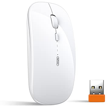 Souris sans fil rechargeable, [mise à niveau], souris ultra mince Silent 2.4G souris sans fil 1600 DPI avec récepteur USB pour ordinateur portable PC PC Tablette Mac, Niveau de batterie Visible, Blanc