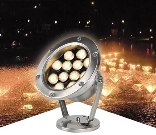 Luci LED Da Terra Per Esterni - Luci LED Sommergibili Per Piscine, Lampada LED Per Fontane Ad Anello, Luci LED Subacquee Con Angolo Regolabile A 360°, Luci Sommergibili Impermeabili IP68(White light,1
