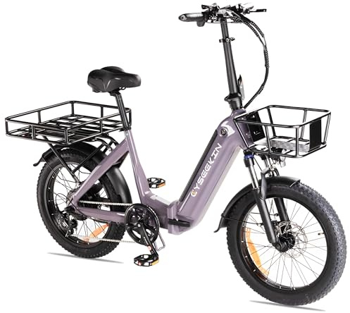 Cyseekin C20 Pro Ebike Klapprad, 20x3.0 Zoll E Bike mit Fahrradkörbe vorne und hinten, LCD Farbdisplay Hydraulische Bremsen Fatbike, 48V 15.6Ah Akku 250W Motor Pedelec bis 25km/h 120km