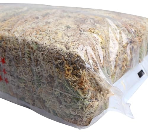 Muschio per piante in vaso,Muschio secco di sfagno,Fertilizzante naturale per orchidee di muschio - Fertilizzante nutrizionale, muschio da 6 l/12 l per la crescita di piante di orchidee Phalaenopsis i
