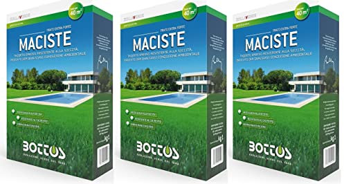Maciste - Sementi per tappeto erboso - Ideale per zone aride - 1 Kg - OFFERTA 3 CONFEZIONI