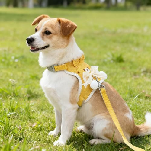 Cute Cartoon Dog Chest Strap Leash, Dog Harness and Leash Set, Dog Harness Breathable Poly-Cotton Mesh Breathable Mesh, Adjustable Vest with Bow (Yellow, M)