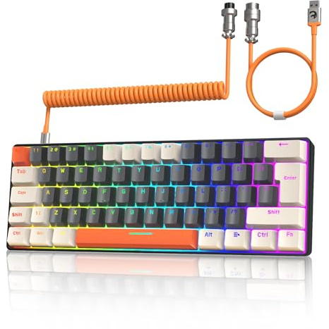ZIYOU LANG T60 Clavier de Jeu Filaire avec Câble USB C Enroulé, QWERTY Mini 60% Compact 62 Key Anti-ghosting, 18 Rétroéclairage Arc-en-Ciel, Clavier Mécanique Clicky Blue Switch pour PC/Mac - Glimmer