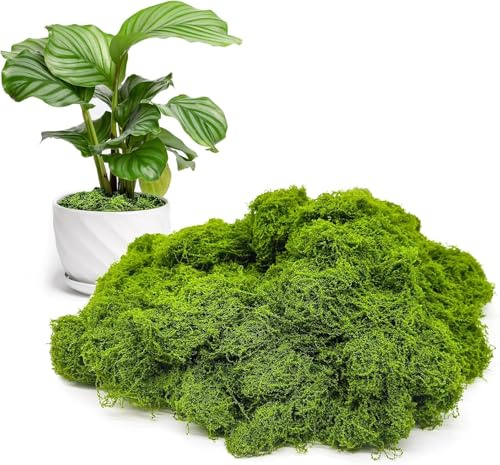 MisFun 100g Musgo Artificial, Musgo Seco Artificial, Musgos Artificial para Decorar, Musgos Falso Decorar, Musgoes Ddecorativo para Manualidades, Musgoes Preservado Adornos Navideños (Verde Claro)