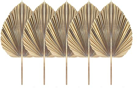 Tskcvy 5 Hojas de Palma Secas Naturales, Abanicos de Palma Tropical, DecoracióN de Hojas Secas Bohemias para el Hogar, Cocina, Boda
