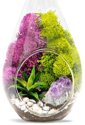 Creations by Nathalie - Kit de terrario de bricolaje para adultos, soporte de metal, terrario de vidrio colgante, musgo de reno, cristal y rocas, herramientas de terrario, figura, sin planta