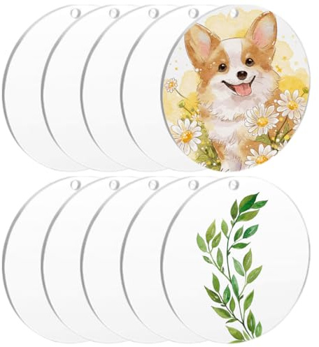 10 stycken akrylskivor runda med hål, 15 cm rund klar akrylplatta, transparent akrylskivor i akryl, 2 mm tjocka, akrylskivor för gör-det-själv-målning, bilram, hantverk, hantverk