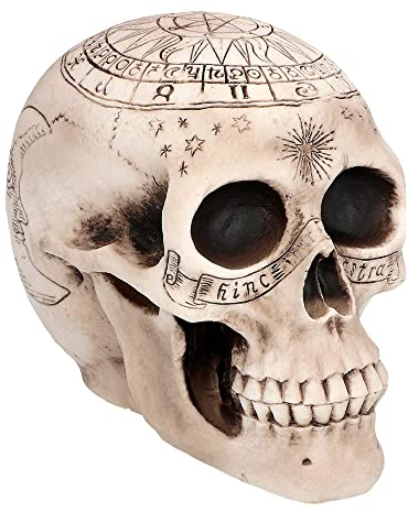 Boland 73081 - Decorazione scheletro, 20 cm, figura di decorazione, teschio astronomico, decorazione, decorazione di Halloween, decorazione per feste