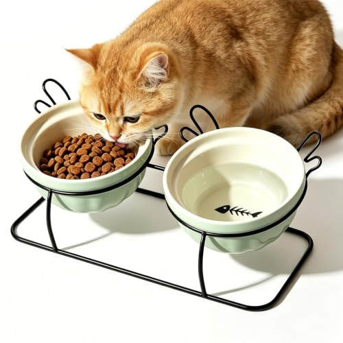 Ciotola rialzata per cani in ceramica, con supporto in metallo, ciotola per cani di taglia piccola e media, doppia ciotola rimovibile, inclinazione di 25°, ciotola per cibo e acqua
