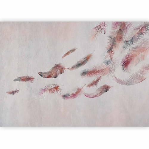 murando - Carta da Parati Moderna per Camera da Letto, Piuma, 400x280 cm | Fotomurali in TNT, Decorazione da Muro XXL, Carte da Parati Moderne, Boho, Produzione Europea