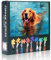 Dog Puzzles for Adults 1000 Pieces Dog Pool Swimming Jigsaw Puzzles 1000 Pieces for Adults Funny Water Puppy Puzzle for Adult Animal Coolest Adult Puzzle(27.5 * 19.7 inch)
