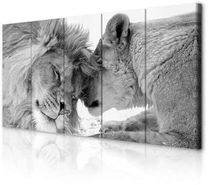decomonkey Wandbilder Löwe 200x80 cm 5 Teilig Leinwandbilder Kunstdruck | Bild auf Leinwand, Wanddeko, Wohnzimmer, Wanddekoration, Tiere, Afrika, Katze, schwarz, weiß