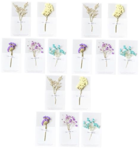 MAGICLULU 3sets Getrocknete Blumen Arrangement Grußkarte Für Geburtstag Jahrestag Hochzeit 10 Stücke * 3